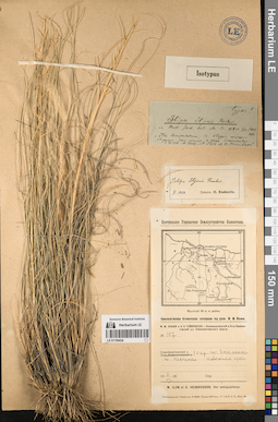 LE 01195434