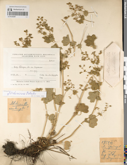LE 01220287