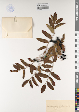 LE 01220357