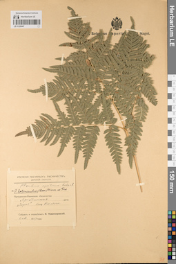 LE 01220447