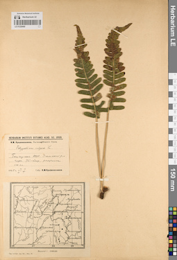 LE 01220469