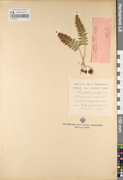 LE 01220471