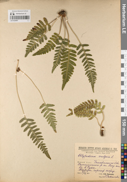 LE 01220497