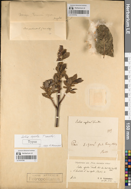 LE 01070790