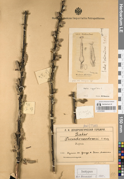 LE 01070825