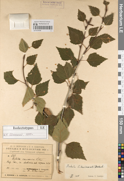 LE 01219104