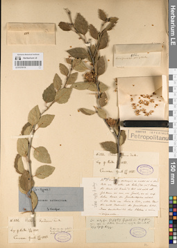 LE 01219119