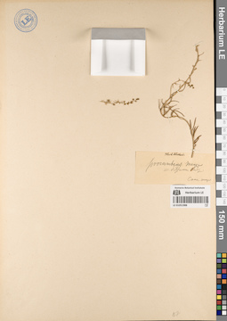 LE 01051988