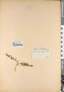 LE 01072415