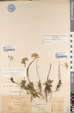 LE 01057048