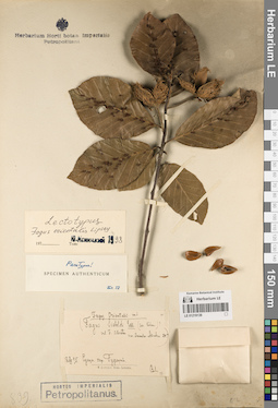 LE 01219139