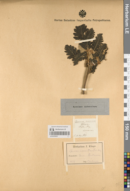 LE 01219151