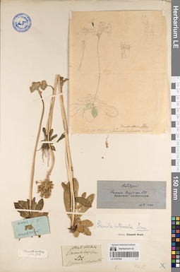 LE 01057064