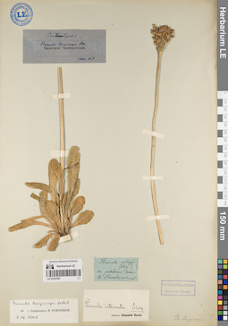 LE 01057067