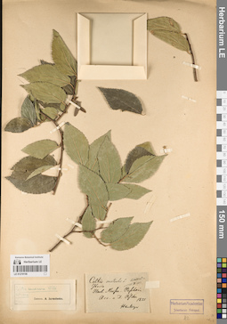 LE 01219156