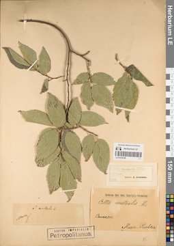 LE 01219159