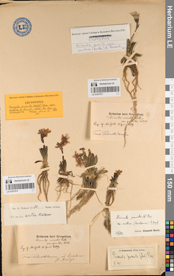 LE 01057074