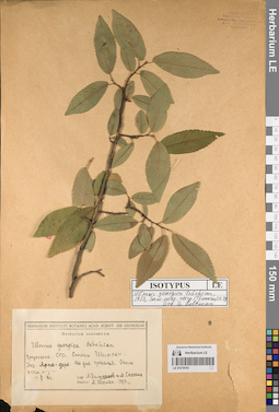 LE 01219161