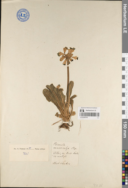 LE 01057076