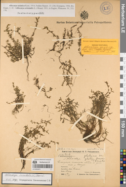 LE 01053471