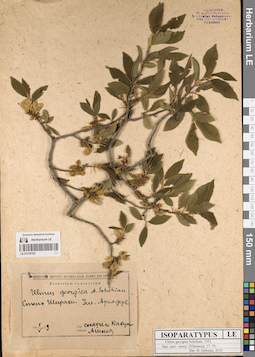 LE 01219163