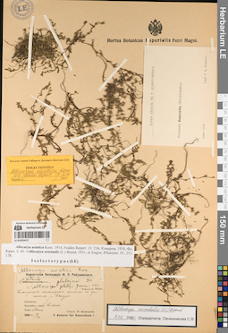 LE 01053472