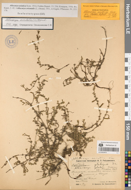 LE 01053473