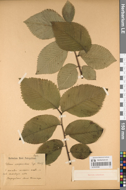 LE 01219166