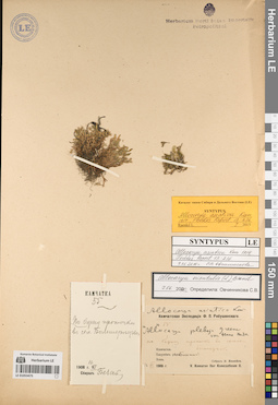 LE 01053475