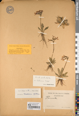 LE 01057082