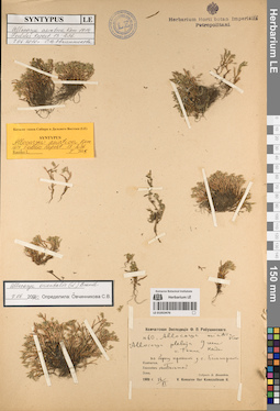LE 01053476