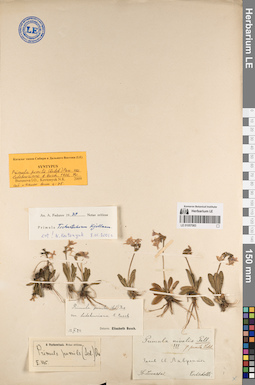 LE 01057083