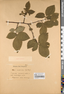 LE 01219170