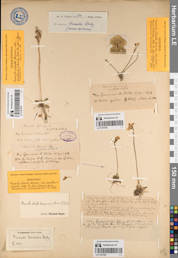 LE 01057087