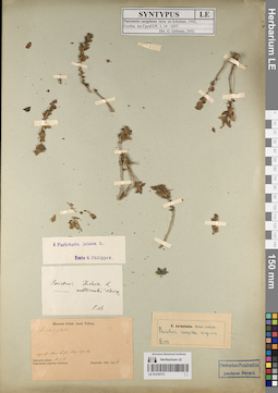 LE 01219173
