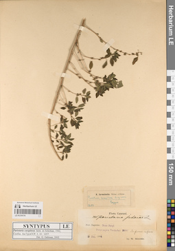 LE 01219174