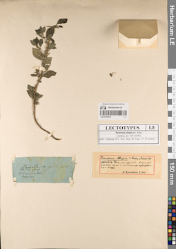 LE 01219175