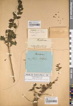 LE 01219177