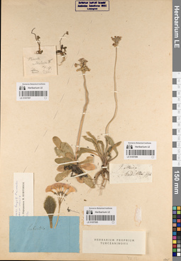 LE 01057096
