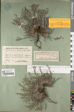LE 01083243