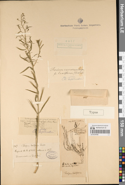 LE 01219182