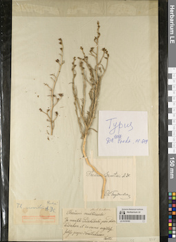 LE 01219183