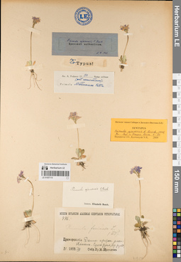 LE 01057115