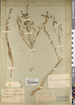 LE 01219186