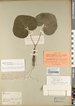 LE 01219187