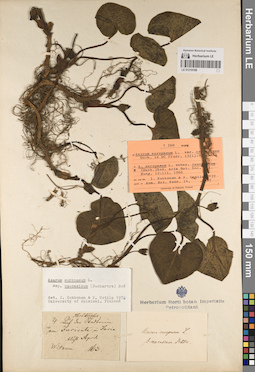 LE 01219188