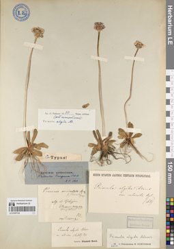 LE 01057124