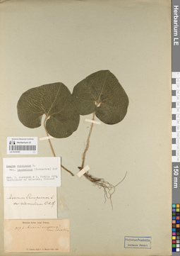 LE 01219191