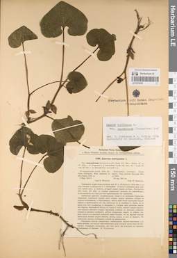 LE 01219193