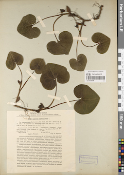 LE 01219194